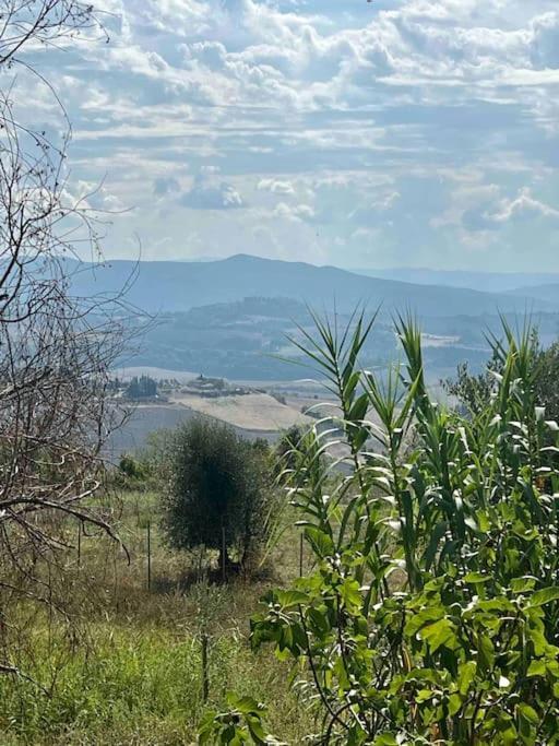 Windrose Blue Blossom Volterra Zewnętrze zdjęcie